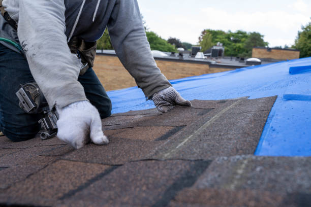 Professional Roofing Contractor in Brookdale, CA